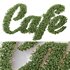 Artificial Office Wall Plants Letters Cafe - Thumbnail 1