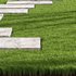 Decorative Floor Grass - Thumbnail 3