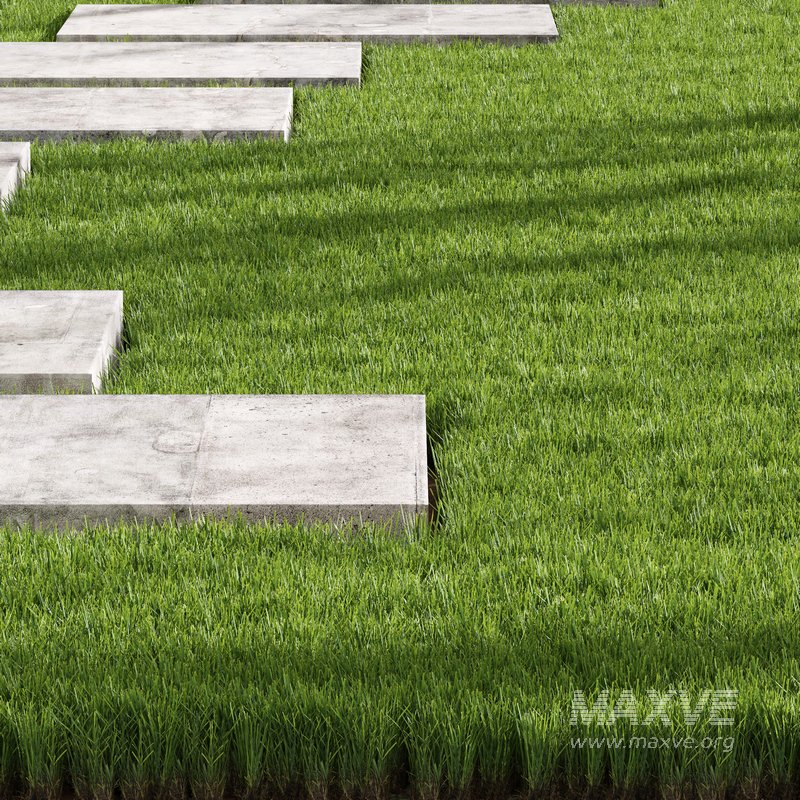 Decorative Floor Grass - Image 3