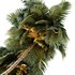 coconut palm – 4 tree on beach - Thumbnail 3