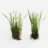 Decorative Floor Grass - Thumbnail 4