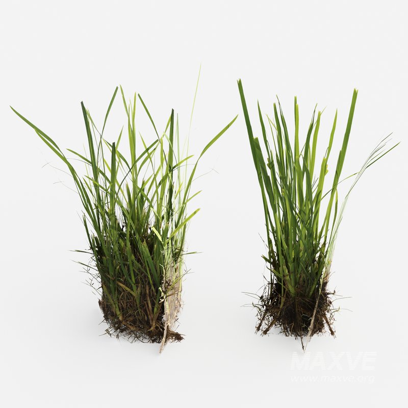 Decorative Floor Grass - Image 4
