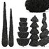 Beloved Italian Cypress and Italian Pencil Cypress and Juniperus chinensis Spartan Taylor-6 trees - Thumbnail 6