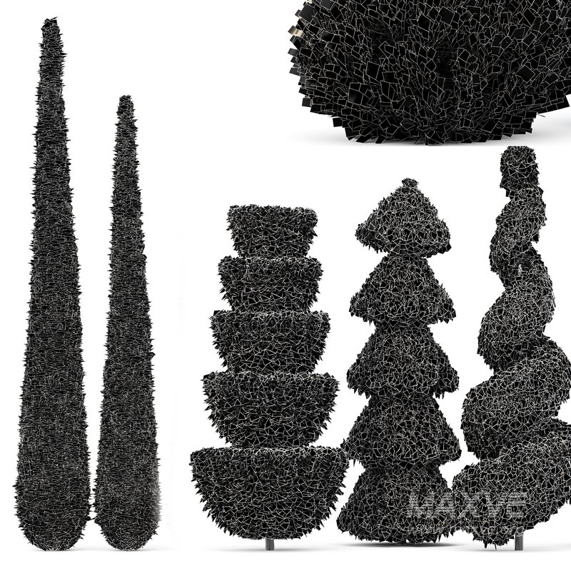 Beloved Italian Cypress and Italian Pencil Cypress and Juniperus chinensis Spartan Taylor-6 trees - Image 6