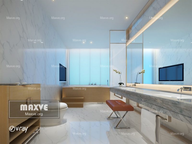 Bathroom scene 917 - Image 1