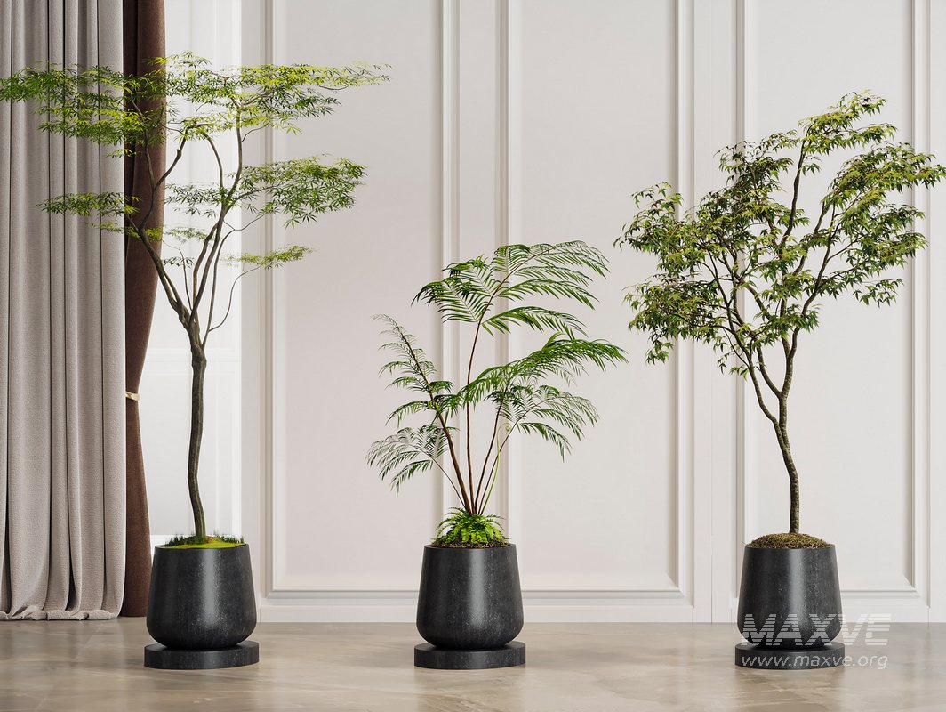 Modern plant - Image 1