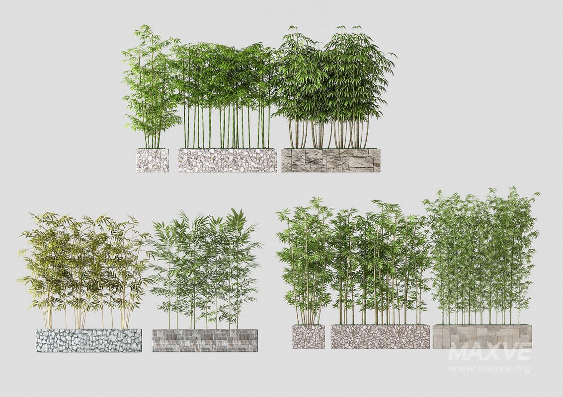 Modern plant - Image 1