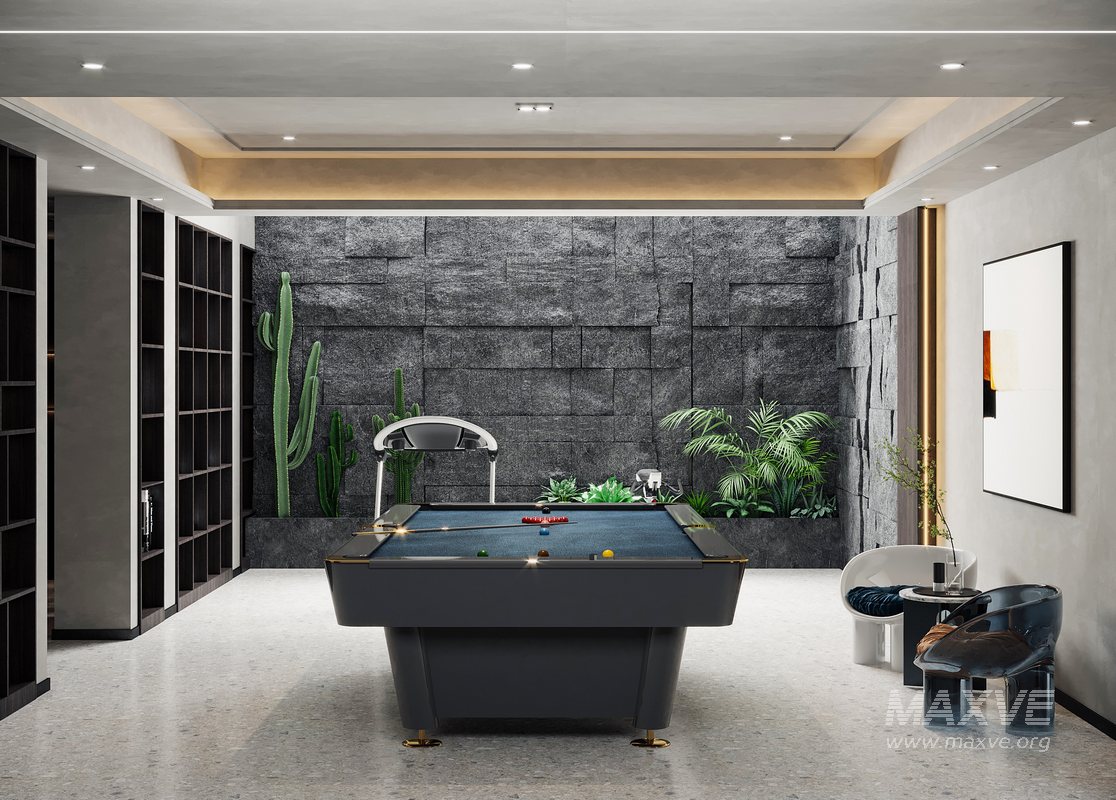 Entertainment room - Image 1