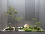 Modern Plant Potting Landscape - Thumbnail 1