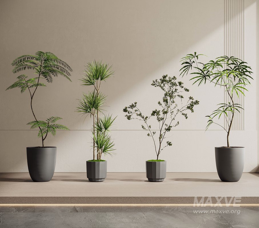 modern plants - Image 1