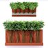 Backyard Landscaping – Bamboo Wall - Thumbnail 1