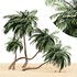 coconut palm – 4 tree on beach - Thumbnail 1