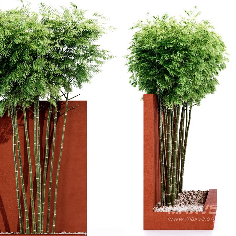 Backyard Landscaping – Bamboo Wall - Image 2