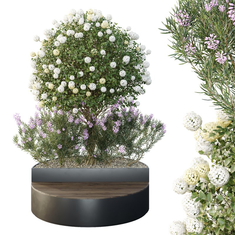 HQ Tree and bush garden box outdoor VOL 20 - Image 1