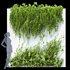 Wall Artificial Hanging Plants-01 - Thumbnail 1
