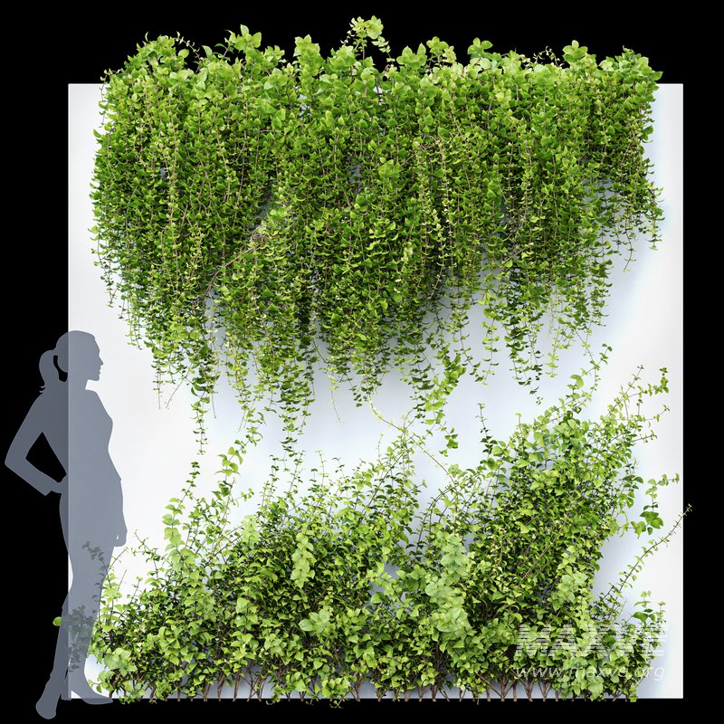 Wall Artificial Hanging Plants-01 - Image 1