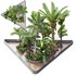 HQ HOTEL Outdoor Plants Set - Thumbnail 1