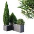 HQ Tree and bush garden box outdoor VOL 04 - Thumbnail 1