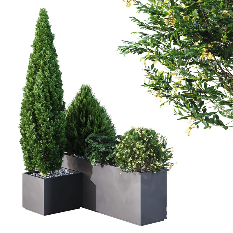 HQ Tree and bush garden box outdoor VOL 04 - Image 1