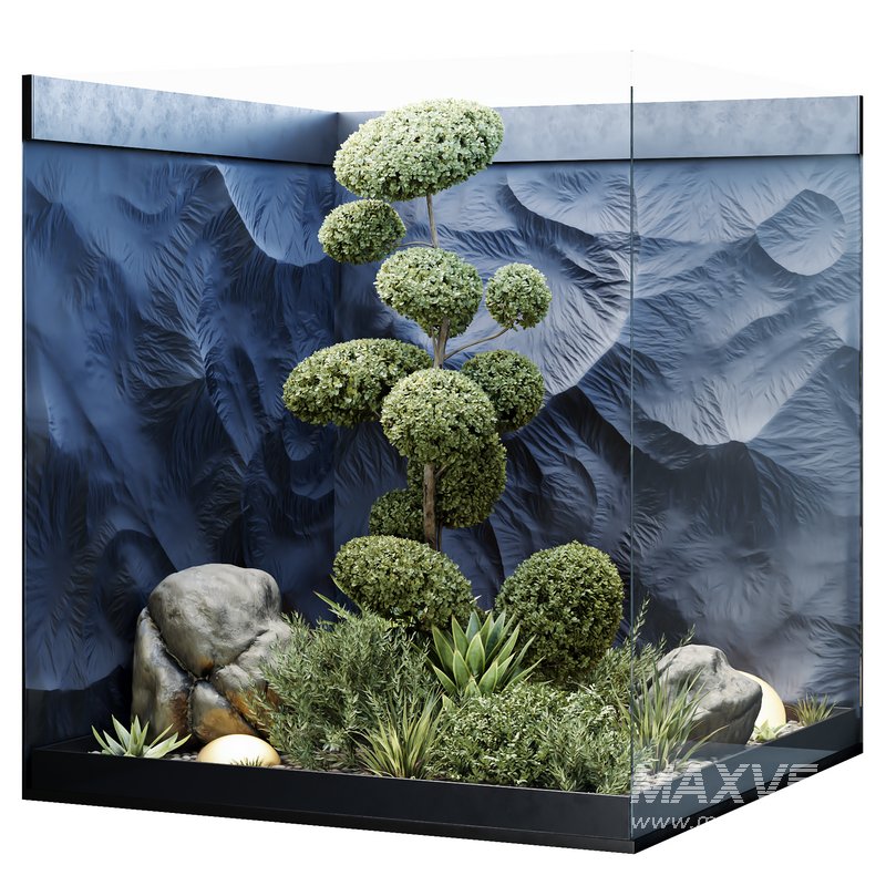HQ Plants Indoor Set Box Glass - Image 1