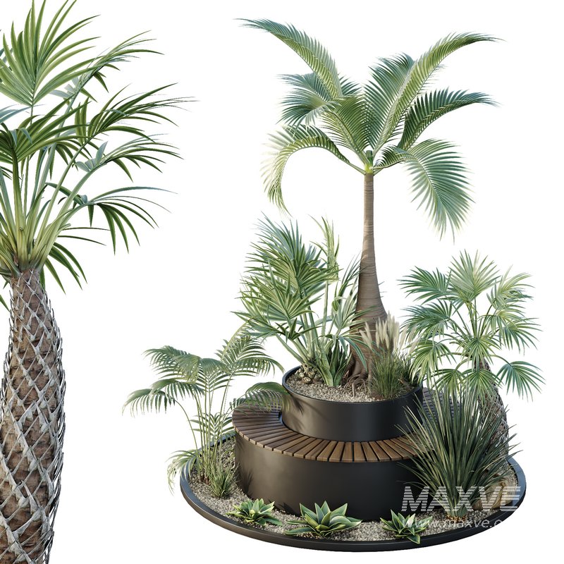 HQ Tree and bush garden box outdoor VOL 19 - Image 1