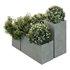 HQ Tree and bush garden box outdoor VOL 10 - Thumbnail 1