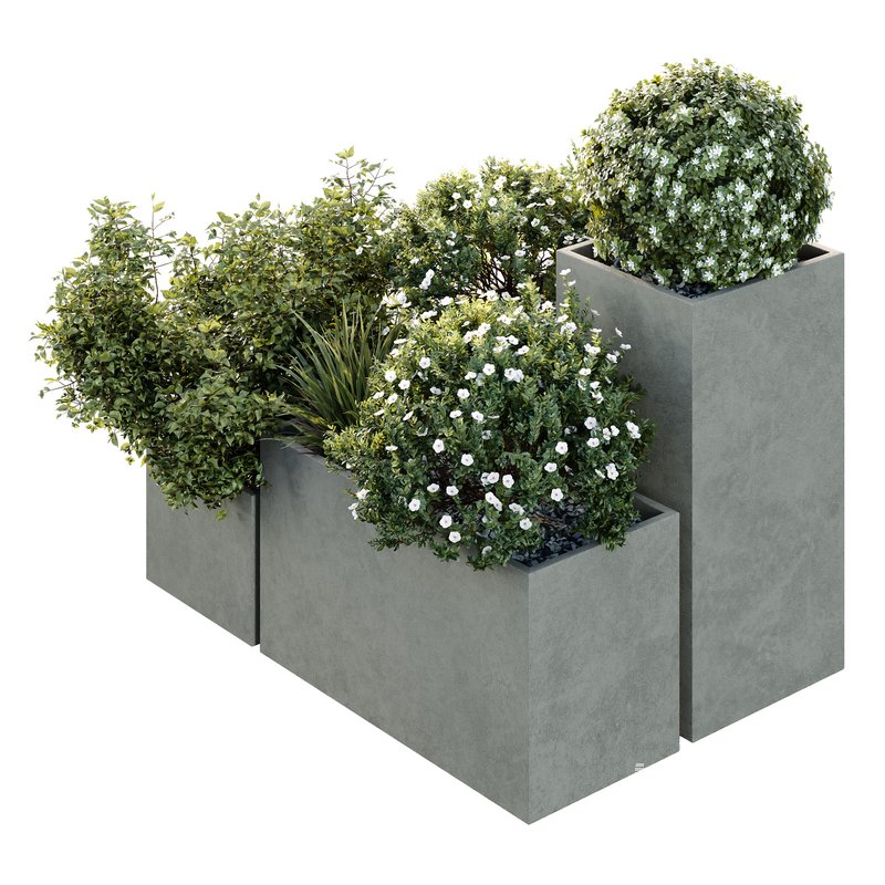 HQ Tree and bush garden box outdoor VOL 10 - Image 1