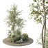 HQ Tree and bush garden box outdoor VOL 15 - Thumbnail 1