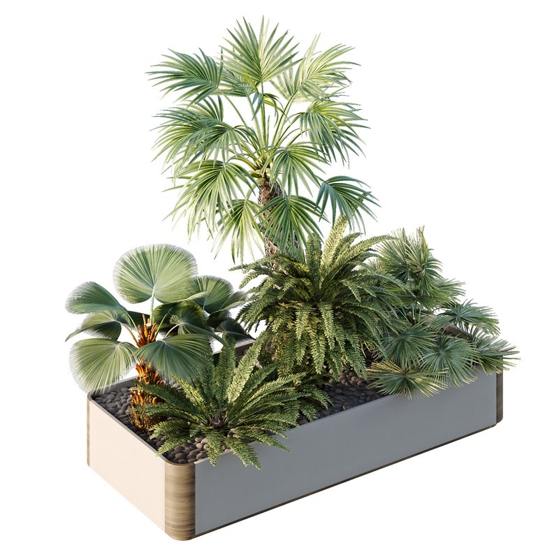 HQ Tree and bush garden box outdoor VOL 12 - Image 1
