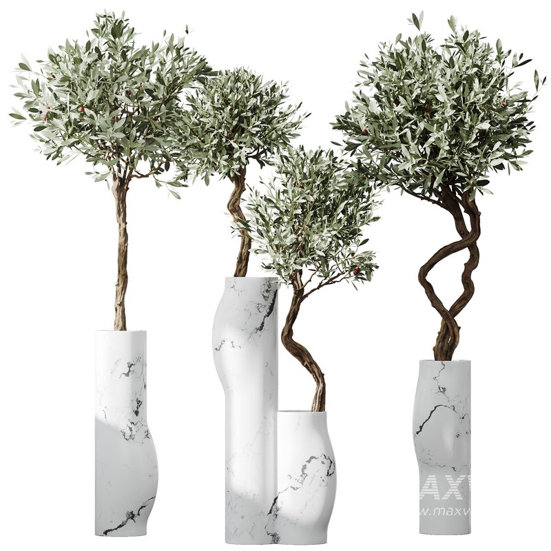 HQ Plants Mission Olive Tree Indoor Vase Set003 - Image 1