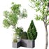 HQ Tree and bush garden box outdoor VOL 05 - Thumbnail 1