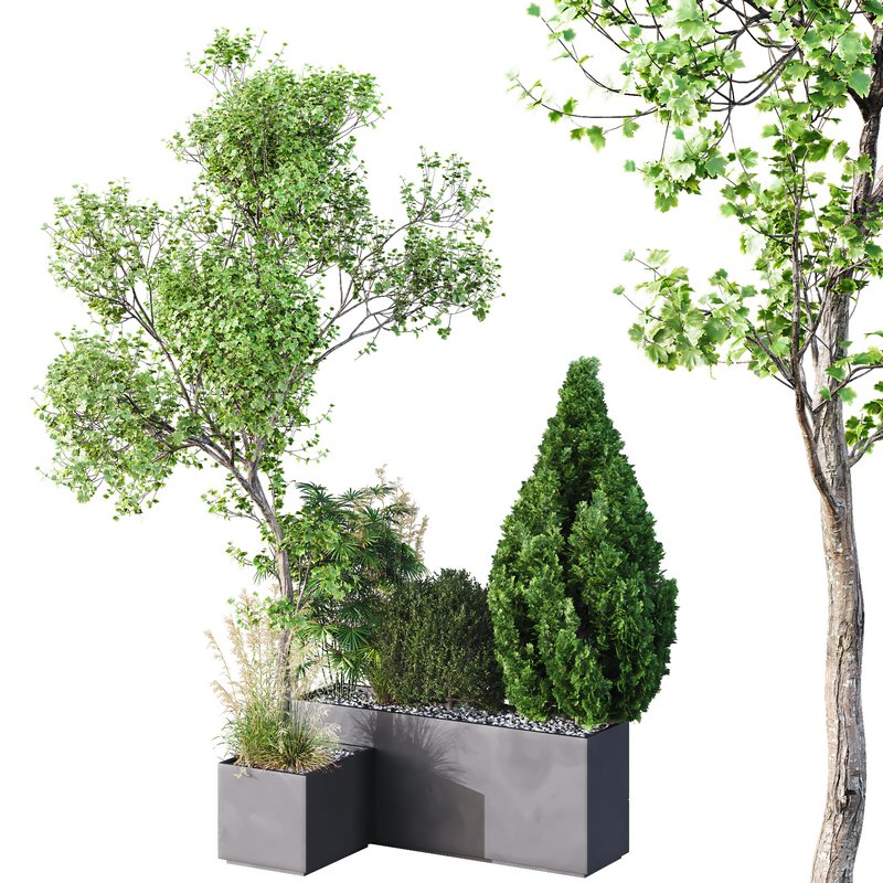 HQ Tree and bush garden box outdoor VOL 05 - Image 1
