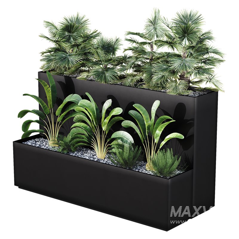 HQ Tree and bush garden box outdoor VOL 11 - Image 1