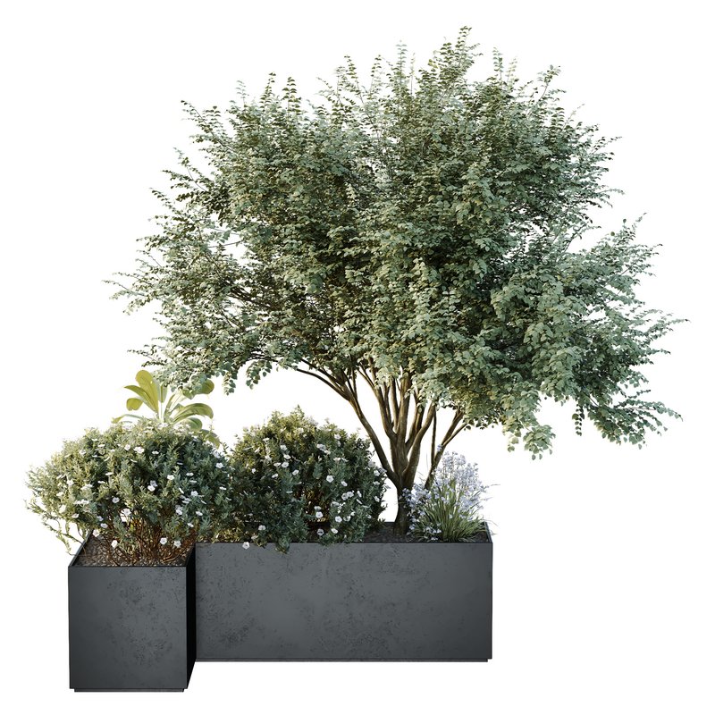 HQ Tree and bush garden box outdoor VOL 13 - Image 1