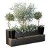 HQ Urban environment set of green plant benches 04 - Thumbnail 1