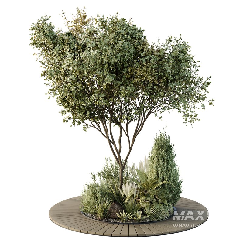 HQ Tree and bush garden box outdoor VOL 16 - Image 1