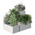HQ Tree and bush garden box outdoor VOL 07 - Thumbnail 1