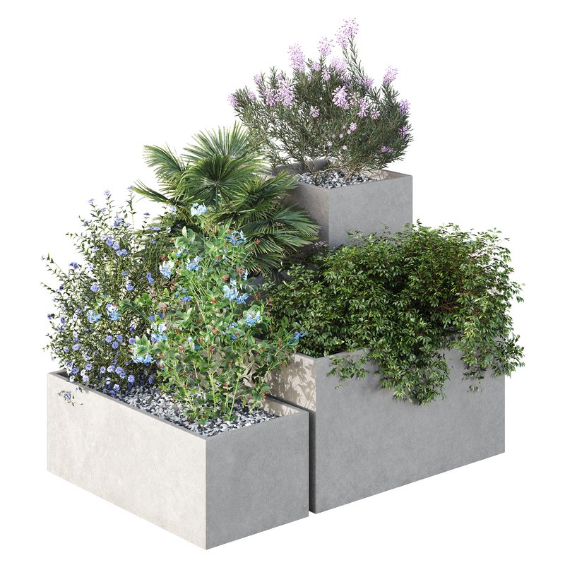 HQ Tree and bush garden box outdoor VOL 07 - Image 1