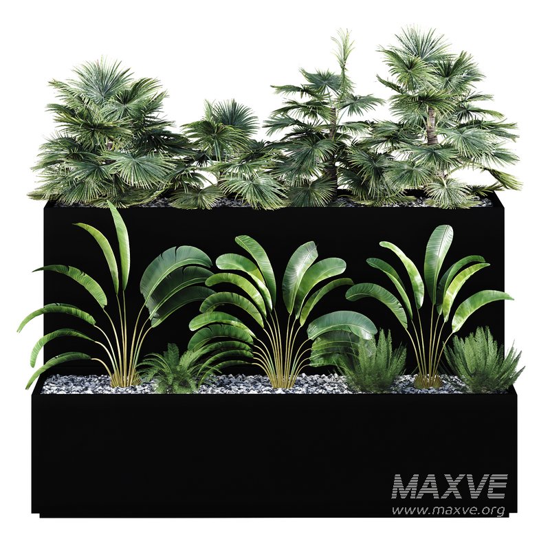 HQ Tree and bush garden box outdoor VOL 11 - Image 2