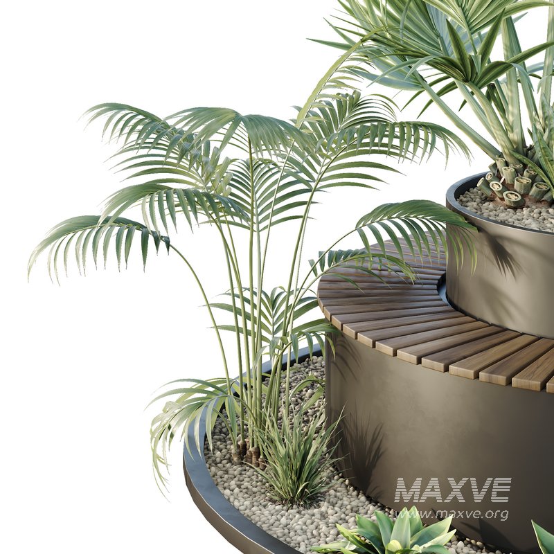 HQ Tree and bush garden box outdoor VOL 19 - Image 3