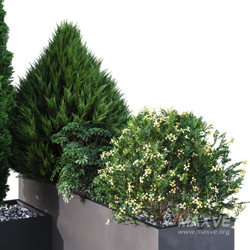 HQ Tree and bush garden box outdoor VOL 04 - Image 3