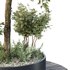 HQ Urban environment set of green plant benches 05 - Thumbnail 2