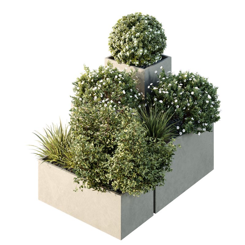 HQ Tree and bush garden box outdoor VOL 10 - Image 2