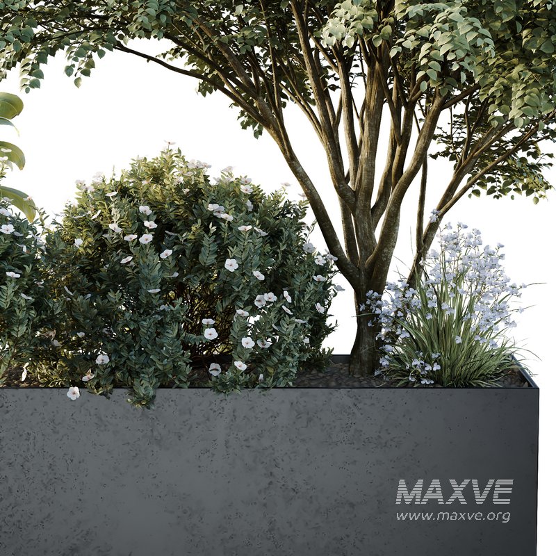 HQ Tree and bush garden box outdoor VOL 13 - Image 3