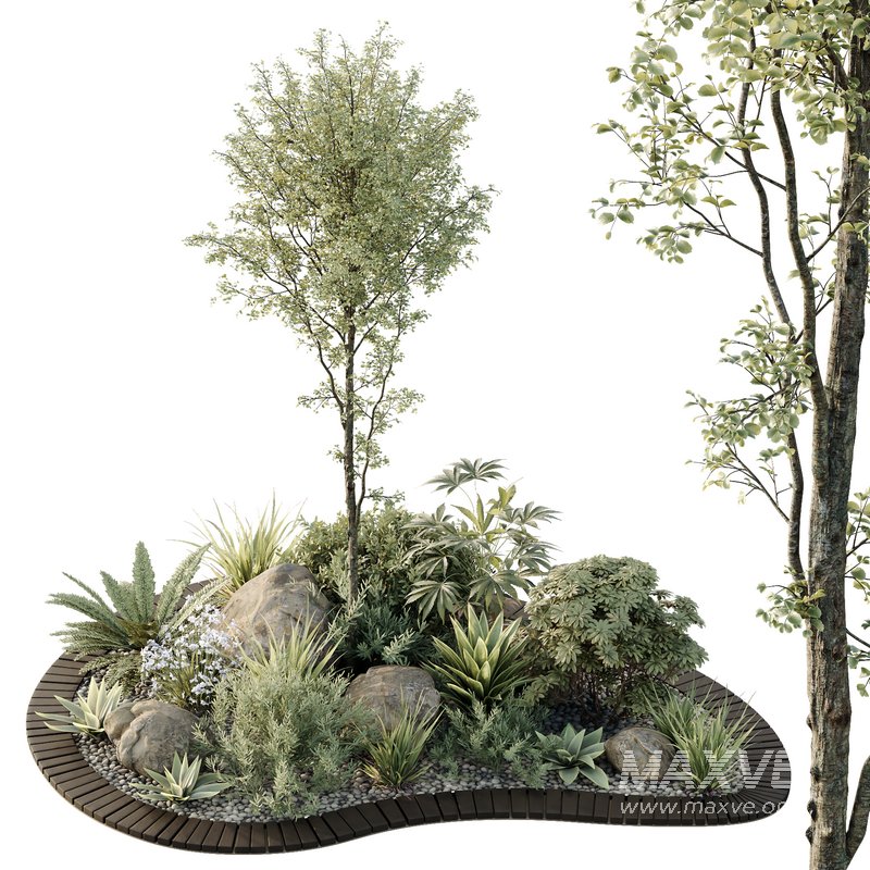 HQ Tree and bush garden box outdoor VOL 08 - Image 3