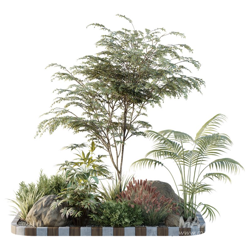 HQ Tree and bush garden box outdoor VOL 14 - Image 2