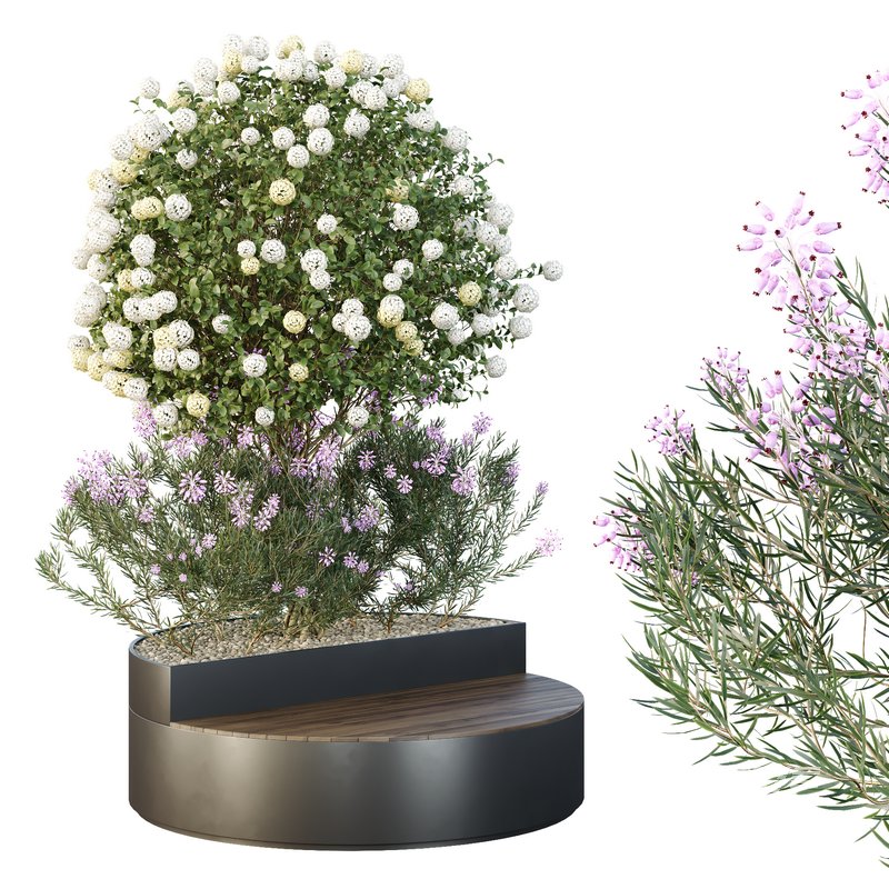 HQ Tree and bush garden box outdoor VOL 20 - Image 2