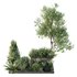 HQ Tree and bush garden box outdoor VOL 17 - Thumbnail 2