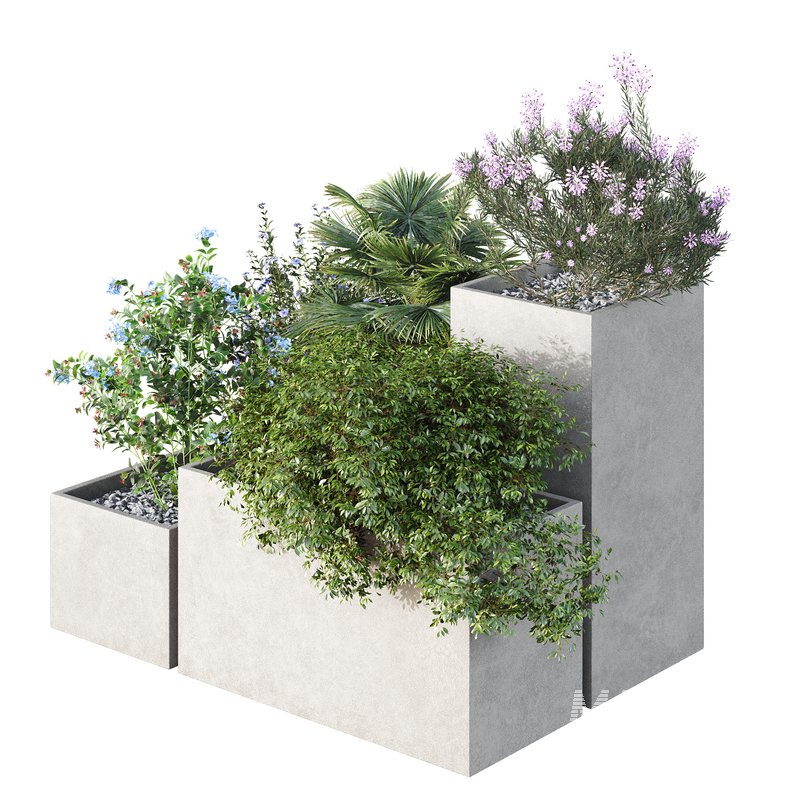 HQ Tree and bush garden box outdoor VOL 07 - Image 2