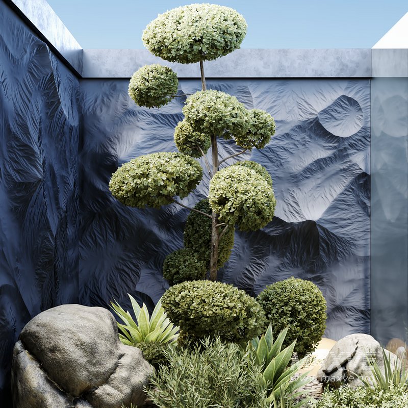 HQ Plants Indoor Set Box Glass - Image 2